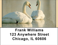 Stuck Address Labels | LBBBD-82