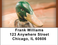 Vintage Duck Decoys Address Labels | LBBBD-83