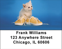 Kitten Curiosity Address Labels | LBBBD-86
