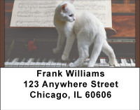 Kittens On The Keys Address Labels | LBBBD-87