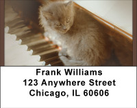 Kittens On The Keys Address Labels | LBBBD-87
