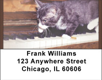 Kittens On The Keys Address Labels | LBBBD-87
