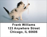 Sew Playful Kittens Address Labels | LBBBD-88