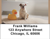 Bulldog Bathtime Address Labels | LBBBD-90