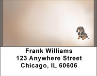 Dachshund Daze Address Labels | LBBBD-91