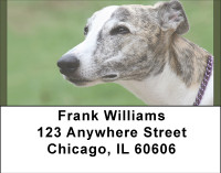 Greyhound Glances Address Labels | LBBBD-93