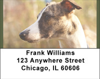 Greyhound Glances Address Labels | LBBBD-93