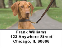 Loyal Hungarian Vizsla Address Labels | LBBBD-95