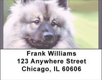 Adorable Keeshond Address Labels | LBBBD-96
