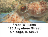 Oceans Of Octopus Address Labels | LBBBE-01