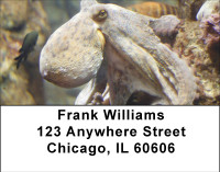 Oceans Of Octopus Address Labels | LBBBE-01