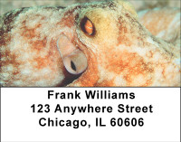 Oceans Of Octopus Address Labels | LBBBE-01