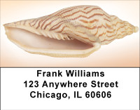 Peachy Shell Collection Address Labels | LBBBE-02