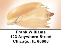 Peachy Shell Collection Address Labels | LBBBE-02