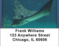 Stingrays On The Move Address Labels | LBBBE-04