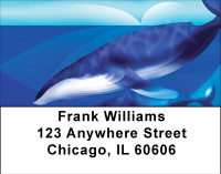 Whale Sightings Address Labels | LBBBE-06