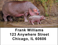 Hippo Heaven Address Labels | LBBBE-07
