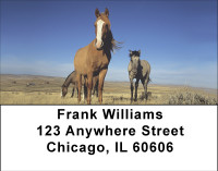 Wild Spanish Mustang Address Labels | LBBBE-12