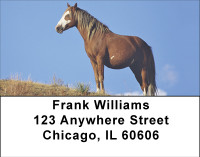 Wild Spanish Mustang Address Labels | LBBBE-12