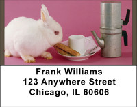 Bunny Antics Address Labels | LBBBE-14