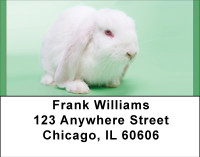 Bunny Antics Address Labels | LBBBE-14