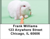 Bunny Antics Address Labels | LBBBE-14