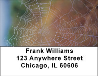 Spider Webs Address Labels | LBBBE-15
