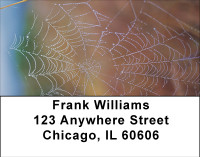 Spider Webs Address Labels | LBBBE-15