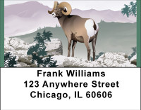 Wildlife Around The World Address Labels | LBBBE-16