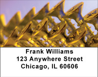 Golden Screws Address Labels | LBBBE-30