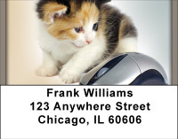 Cat And Mouse Address Labels | LBBBE-55