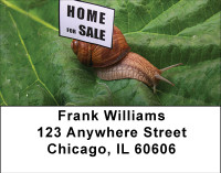 Home For Sale Address Labels | LBBBE-85