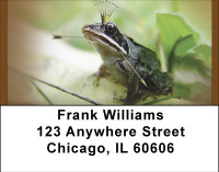 Handsome Prince Is Waiting Address Labels | LBBBF-39