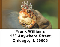 Handsome Prince Is Waiting Address Labels | LBBBF-39
