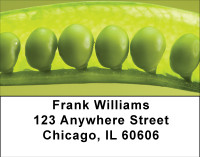 Two Peas In A Pod Address Labels | LBBBF-60