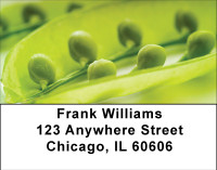 Two Peas In A Pod Address Labels | LBBBF-60