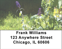 Spring Garden Address Labels | LBBBG-19