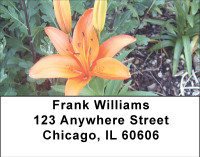 Spring Garden Address Labels | LBBBG-19
