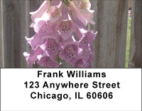 Spring Garden Address Labels | LBBBG-19