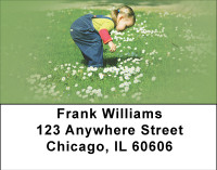 Discovery Address Labels | LBBBG-30