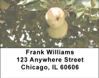Fruit Trees Address Labels | LBBBH-80
