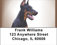 Doberman Portraits Address Labels | LBBBH-89