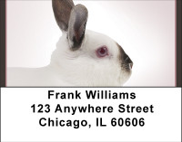 Magic Rabbit Address Labels | LBBBH-91