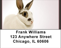 Magic Rabbit Address Labels | LBBBH-91