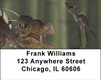 Prehistoric Daze Address Labels | LBBBH-96