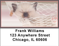 Kittens In Hammocks Address Labels | LBBBI-09