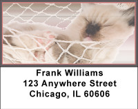 Kittens In Hammocks Address Labels | LBBBI-09