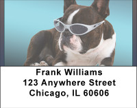 Gotta Wear Shades Address Labels | LBBBI-11