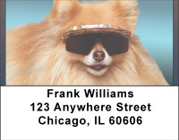 Gotta Wear Shades Address Labels | LBBBI-11