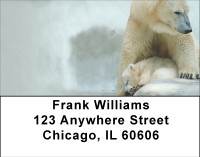 Don't Mess With Mamas Address Labels | LBBBI-20